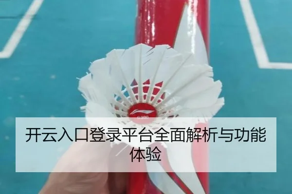 开云入口登录平台全面解析与功能体验
